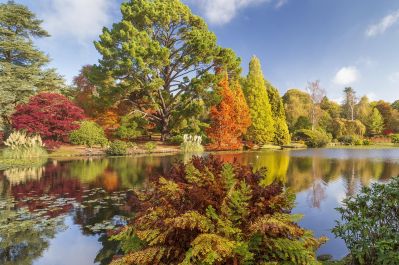 autumn-colour-5082532_1280.jpg