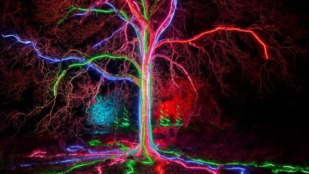 Hillsborough_Castle_Light_Trail_-_Neon_Tree_-_c_MyChristmasTrails_SonyMusic2022.jpg