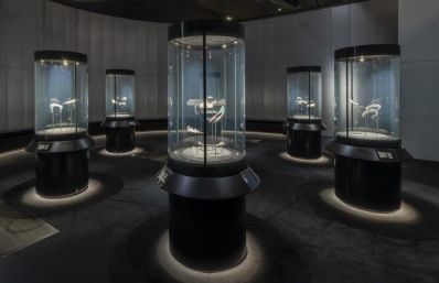 Installation_view_of_Cartier_at_VA_South_Kensington_12_April-16_November_2025_c_Victoria_and_Albert_Museum_London_14_-_Copy.JPG