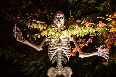Giant_Skeleton_2_-_credit_Ollie_Dixon_-_Copy.jpg