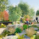 Intelligence, innovation and joy: Chelsea Flower Show 2025