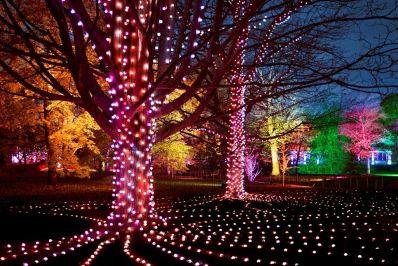 Christmas_at_Kew_2021._Credit_Richard_Haughton._2_-_Copy.jpg