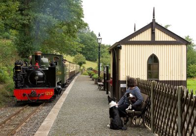 Rheidol-Railway-Mid-Wales-Steam-Railway-Images-by-John-R-Jones-7.jpg