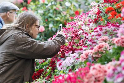 Web_Use-Malvern2019_V0P0759_c_RHS_-_Neil_Hepworth.jpg