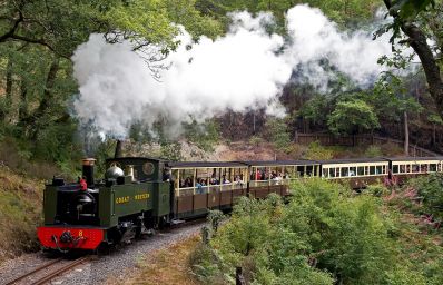 Rheidol-Railway-Mid-Wales-Steam-Railway-Images-by-John-R-Jones-20.jpg