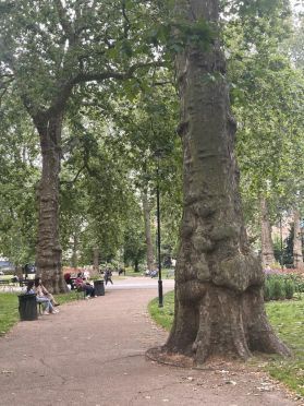 2._Russell_Square.jpg