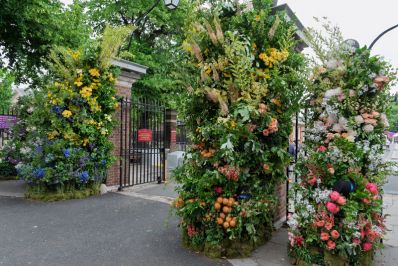 RHS_Chelsea_Flower_Show_2025_credit_RHS_-_Tim_Sandall.jpg