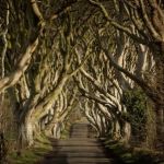 New film guides fans to Game of Thrones locations in Northern Ireland