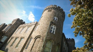 credit_-_Cyfarthfa_Castle_Museum__Art_Gallery.jpg