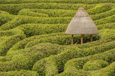 Glendurgan_maze_Pixabay.jpg