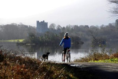 Killarney_Demesne_Killarney_National_Park_Courtesy_Don_MacMonagle.jpg