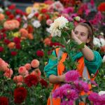 RHS Chelsea Flower Show embraces autumn for first time