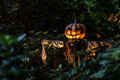 Pumpkin_Scarecrow_-_credit_Ollie_Dixon_-_Copy.jpg