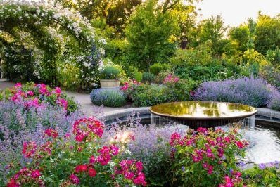 The_Cottage_Garden_c_RHS_Wisley_-_Joanna_Kossak.jpg