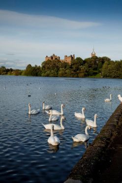 105843-linlithgow-palace-large_c_VisitScotland_-_Paul_Tomkins_-_Copy.jpg